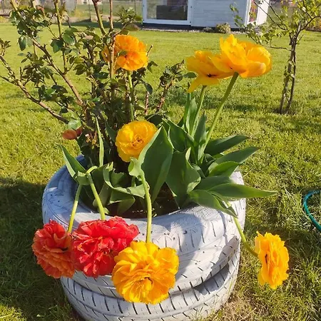 Malinowe Zacisze Rusinowo (Slawno)