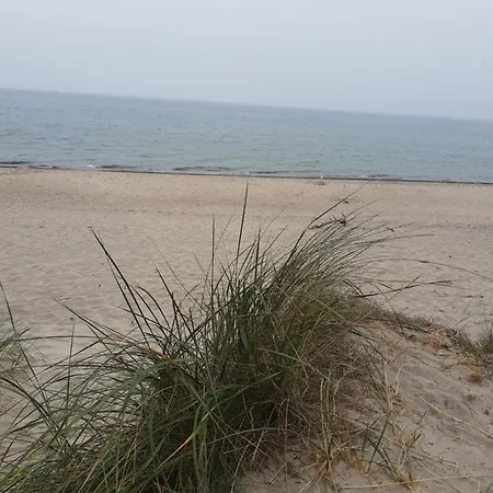 Malinowe Zacisze Rusinowo (Slawno)