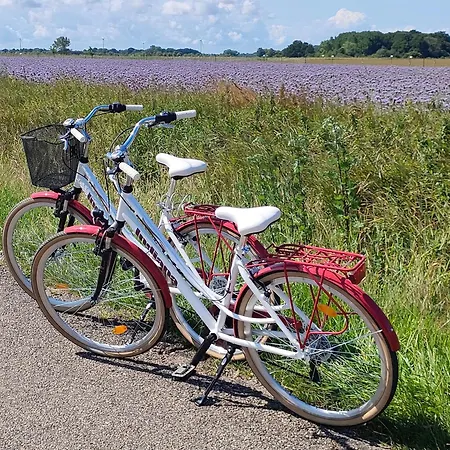 Feriehus Malinowe Zacisze