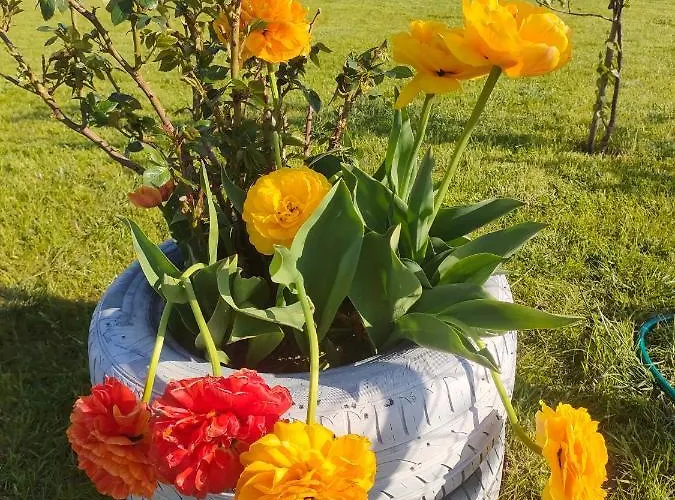 Malinowe Zacisze Rusinowo (Slawno)