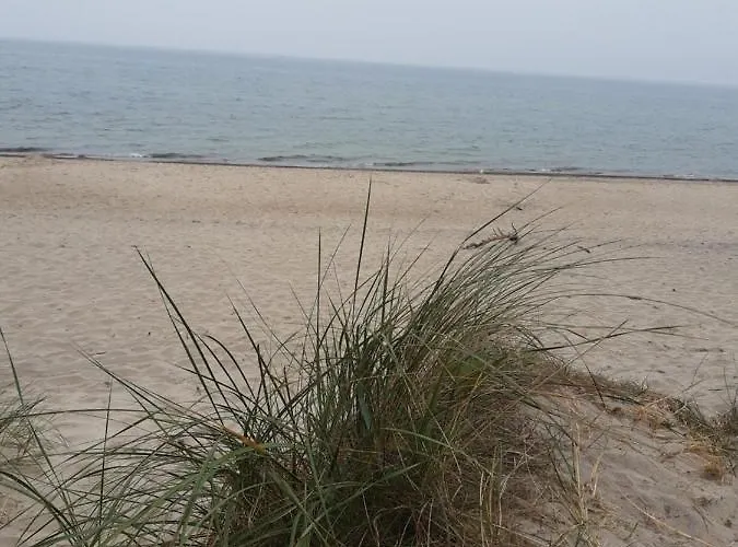 Malinowe Zacisze Rusinowo (Slawno)