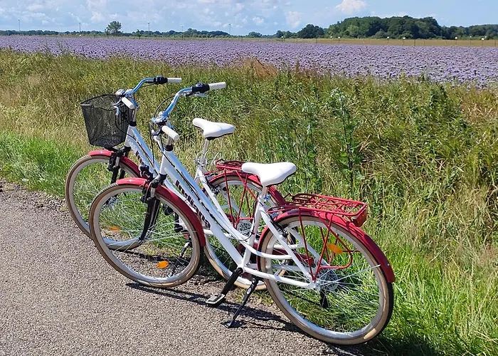 Holiday home Malinowe Zacisze